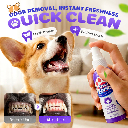 🧴 50% RABATT NU! Tandvårdsspray för husdjur – utan borste – naturlig pepparmynta – eliminerar dålig andedräkt & plack 🐾✨