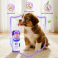 🧴 50% RABATT NU! Tandvårdsspray för husdjur – utan borste – naturlig pepparmynta – eliminerar dålig andedräkt & plack 🐾✨