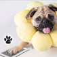 🎁50 % RABATT🐶Avtryckskit för husdjurs tassar🐾🐾
