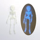 3D-printad magnetisk figur i form av ett vintage-skelett🎃