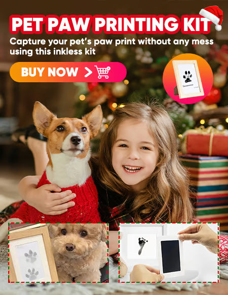 🎁50 % RABATT🐶Avtryckskit för husdjurs tassar🐾🐾