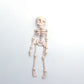 3D-printad magnetisk figur i form av ett vintage-skelett🎃