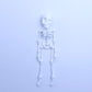 3D-printad magnetisk figur i form av ett vintage-skelett🎃
