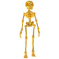 3D-printad magnetisk figur i form av ett vintage-skelett🎃
