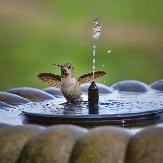 💧60% RABATT NU! ☀️ Solcellsdriven fågelbadspump – 1,4W solpanel, 4 munstycken och dränkbar för damm, trädgård och pool 🐦️⛲