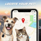🐾 Bluetooth GPS Husdjursspårare | Ingen Månadsavgift 📍