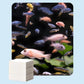🔥🎁Nyhet 50 % RABATT🔥🐠 Akvarieklargörande ark – Klart vatten på 24h