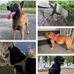 🥳STORREA 2026🥳💞Över 50 000 sålda!🐕💪 50 % RABATT! Slitstark taktisk hundsele – drar inte, stryper inte. Reflekterande band för kvällspromenader. Vadderat handtag med bra grepp. 🛡️✨