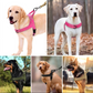 🥳STORREA 2026🥳💞Över 50 000 sålda!🐕💪 50 % RABATT! Slitstark taktisk hundsele – drar inte, stryper inte. Reflekterande band för kvällspromenader. Vadderat handtag med bra grepp. 🛡️✨