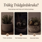 🌿 Lysande växtpinnar i mörker – 50 % RABATT! 7 färger, premiumharts, stabila järnkrokar – magisk trädgårdsdekoration. 🌙