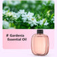 🎁Gift Idea Hot Sale 50% OFF🌸💨 Aromatherapy Diffuser – Automatic, soothing & gift-ready ✨